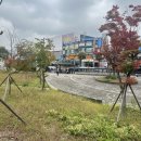 포레스타1공인중개사사무소 이미지