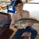 신진좌대 이미지