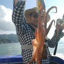 나라3호 이미지