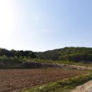 신기리 도로변 이미지