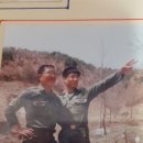 중간상사리 이미지