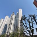 도안 우미린(1806동) 이미지