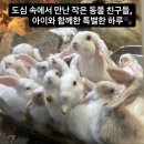 6682 | [파주/야당] 파주놀거리 추천! 아이와 함께 다녀온 야당 실내동물원 테이블에이 후기