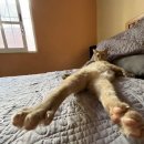 너애개만 이미지