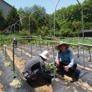 자연의 소리 이미지