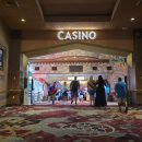 호텔엑스1 | 라스베가스 엑스칼리버 호텔 가격 짐보관 카지노 이용 후기