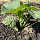 부귀농장 이미지