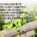 사랑할 시간만이/마크트웨인 이미지