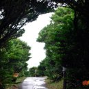 큐브 호스텔 이미지