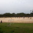 함평공설운동장 이미지