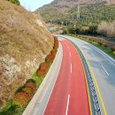 완도13호 이미지