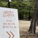 주식회사 베스트칩 | 시야쥬 캠핑 페스티벌 참여후기(남이섬에서 지소쿠리클럽을 보다니)
