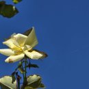 영광군푸드마켓 이미지