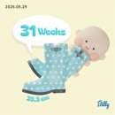 임신 31주~34주 기록 창원 백일해주사, 마산보건소 임산부교실 후기