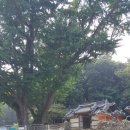 창원 합포성지 이미지