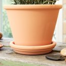 라운더리 이미지