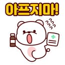 대웅동물병원 네이버블로그