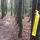 거린사슴전망대 이미지