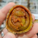 서울 종로 보석동네 플리마켓 마지막날 셀러 후기
