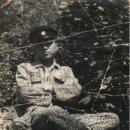 비아초교 이미지