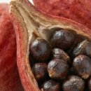 파라다이스 이미지