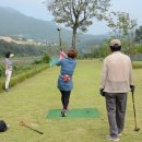 녹송공원 이미지