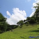 계촌 농장 이미지