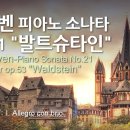Beethoven 피아노 소나타 21번 작품53 "발트슈타인" 이미지