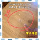 안골로64번길 | 구리 마루찍힘 손상 복원 바닥 보수 출장시공 후기