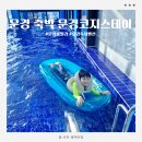 더코지펜션B | 문경 독채펜션 문경코지스테이 풀빌라 숙박 후기