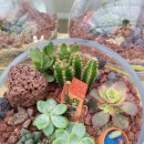 농업기술센터(본관) 이미지