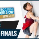 Boulder semi-finals | Seoul 2024 (서울 : 천종원 / 이도현 출전) 이미지