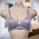 에스란제리 이미지