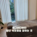 양산 속눈썹펌 잘하는곳 미그리다뷰티 추천