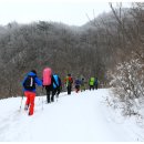 제49차 지리산 바래봉 산행 이미지