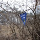 바우길 13구간 이미지