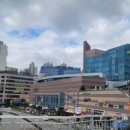 장애인복지회관 건너편 이미지