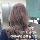 아브뉴프랑 퍼플 이미지