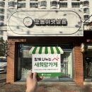 포동이 펫살롱 이미지