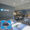 씰리침대전주점 | 침대 브랜드 순위 고려한 씰리침대 전주점 방문후기