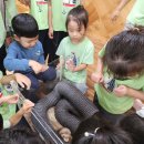 바다의별유치원 이미지