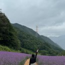 회동관광지 | [ 정선 ] 여행코스 (병방치 스카이워크, 회동집, 가리왕산 케이블카, 파크로쉬 후기)
