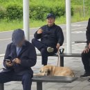 산책 이미지