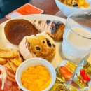 타코케리코 | [도쿄/시부야/신주쿠/아키하바라/가부키초/ 여행계획파일 공유 有] 도쿄 2박3일 여행기✈️