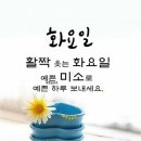 💻2021년 04월 20일 화요일 간추린 헤드라인 뉴스💻 이미지