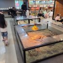 작은 동물원 이미지