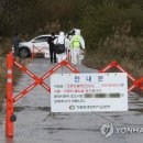 고니농장 이미지