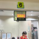 문동물병원(출장진료전문병원) | 병원가기, 방콕 짜두짝 위파와디 병원, 현지인 추천...있는 Vibhavadi Hospital 후기, 접수방법부터 약...