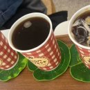 YOON FOREST 이미지