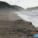 울진군후포면후포보건진료소 네이버블로그